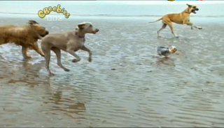Our Planet   Black Montage And Dogs In The Wild (2 Jun 2007)[TV Rip (Xvid)] preview 2