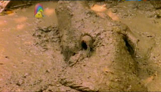 Our Planet – Camouflage, Nests and Burrows (12 November 2007) [TV Rip (XviD)] preview 1