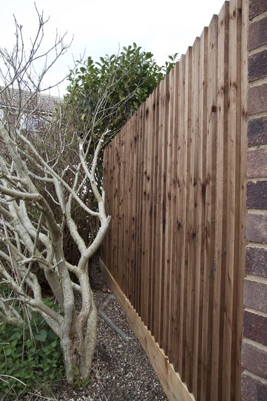 FenceThread32.jpg