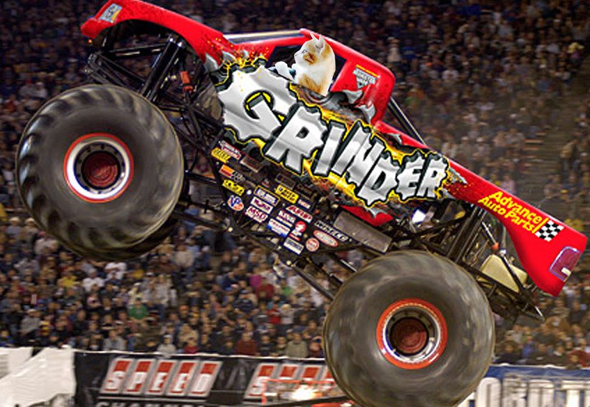Cats Driving Monster Trucks Of cats driving monster