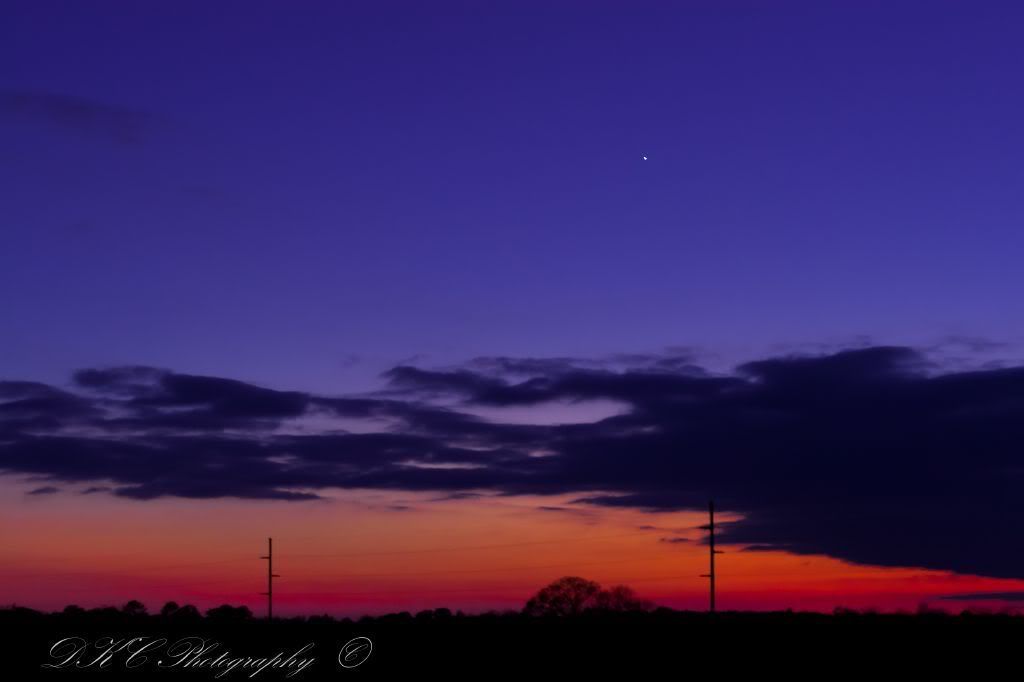 IMAGE: http://i255.photobucket.com/albums/hh124/DKCPhoto/Nifty%2050%20shots/IMG_2104.jpg