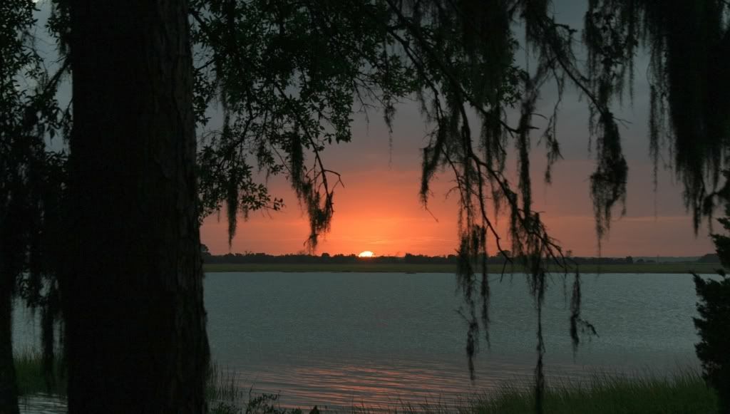 IMAGE: http://i255.photobucket.com/albums/hh124/DKCPhoto/POTN%20shots/IMG_1783e2sm.jpg