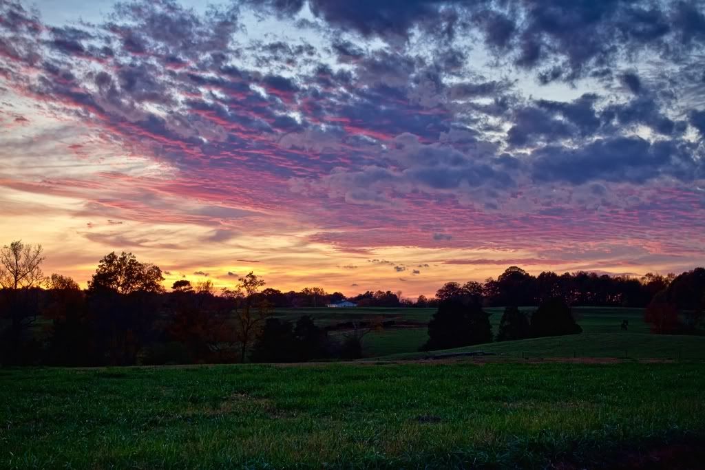 IMAGE: http://i255.photobucket.com/albums/hh124/DKCPhoto/POTN%20shots/IMG_4890_best_sm.jpg