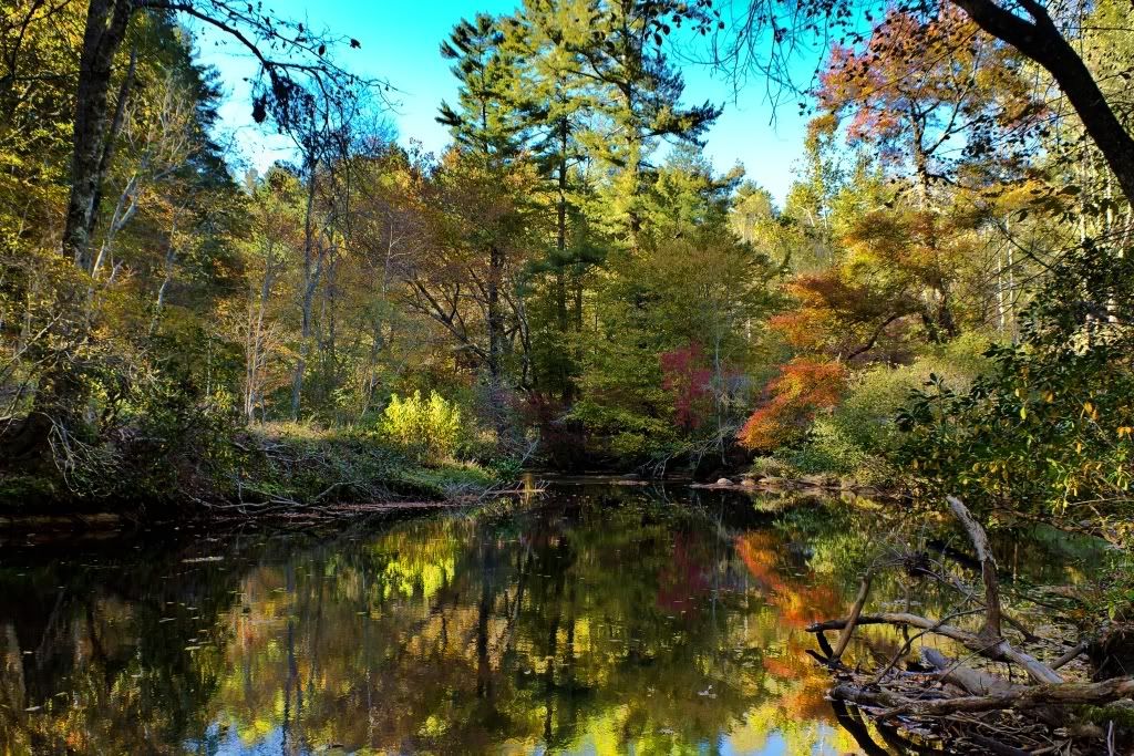 IMAGE: http://i255.photobucket.com/albums/hh124/DKCPhoto/POTN%20shots/IMG_9882_e_topaz_sm.jpg