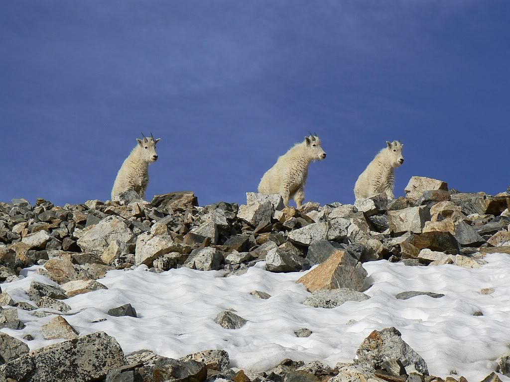 IMAGE: http://i255.photobucket.com/albums/hh124/DKCPhoto/sample%20photos/P1000067.jpg