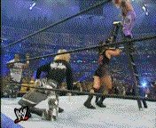 Wwe-Ladder-Match-Dvdrip-Xvi.gif Edge image by WEW_222