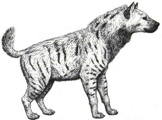 prehistoric eurpean animals
