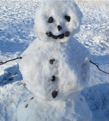 snowman Pictures, Images and Photos