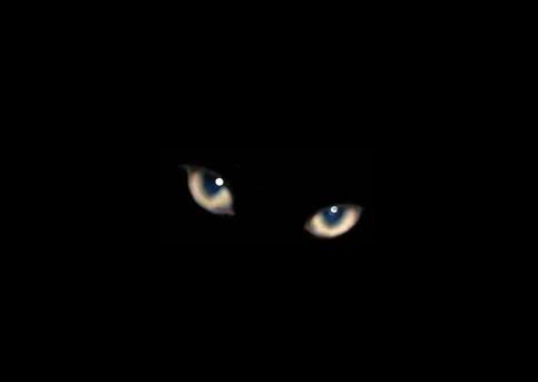 eyesindark.jpg picture by kl5876