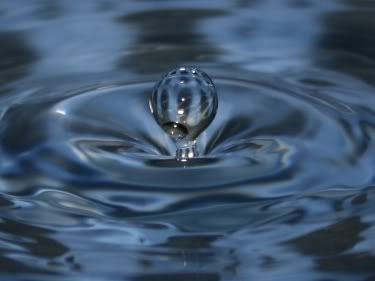 water drop Pictures, Images and Photos