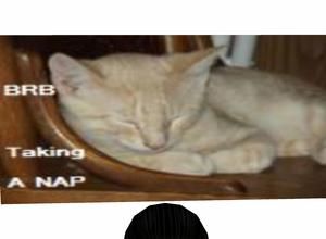 Oto's BRB taking a nap head sign photo thumb_Snap_r6i56A2nlI1087120140_zps2a01e53c.jpg