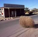 tumbleweed2.jpg