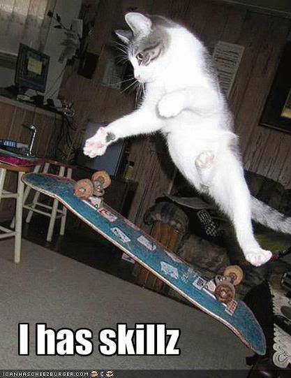 funny-pictures-cat-skateboards-well.jpg