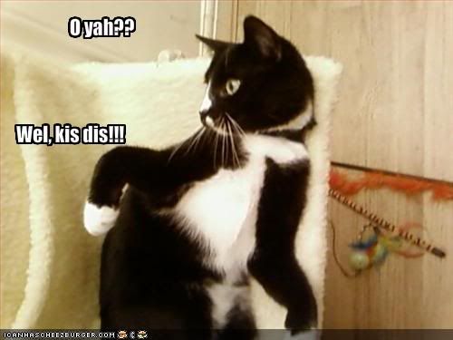 funny-pictures-cat-tells-you-to--1.jpg