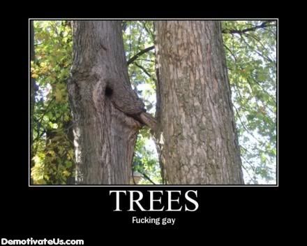 gay-tree-demotivational-poster.jpg