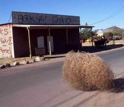 tumbleweed3.jpg