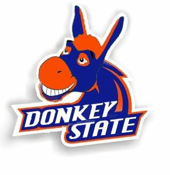 donkeystate.jpg