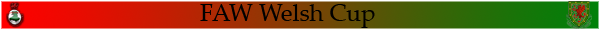 welshcup.png