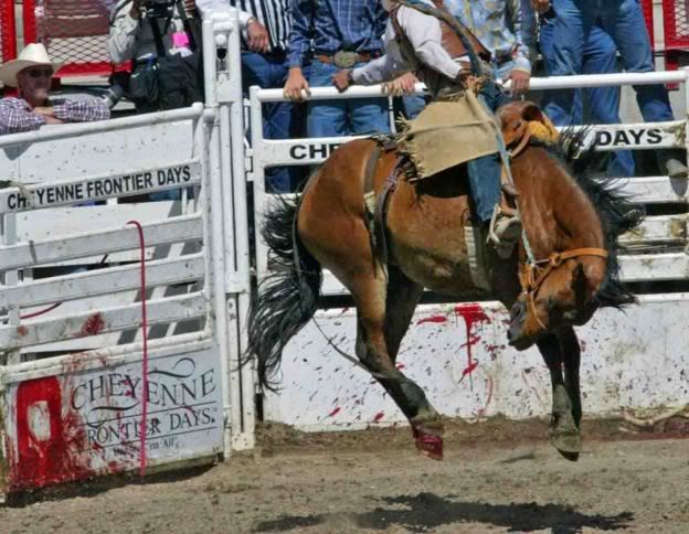rodeo death