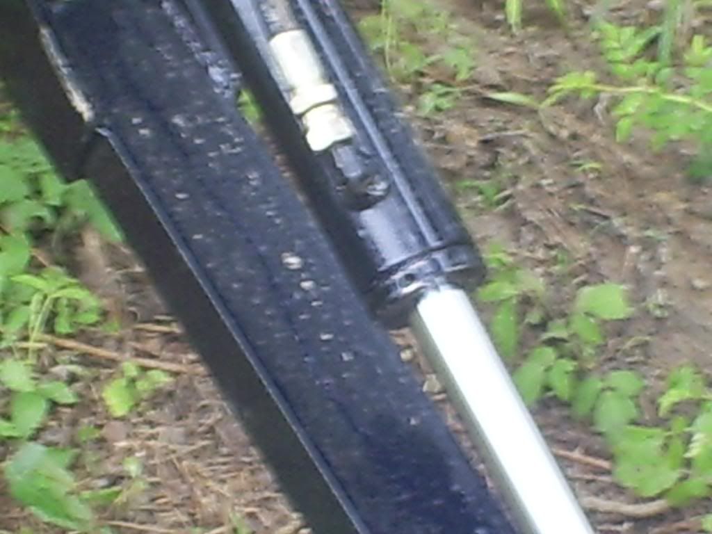 S5032064.jpg