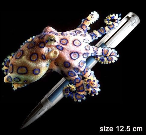 [Image: blueringedoctopus-size.jpg]