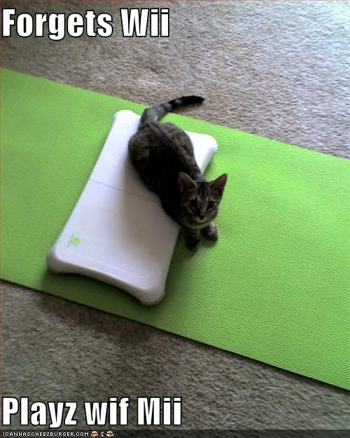 *PICS* otay. ai can haz lolcatz 
