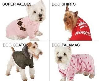 clothing for another dog