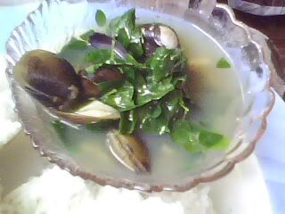 Clam Soup