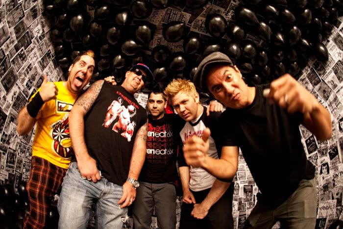 We caught up with Matty from Flecking favourites Zebrahead