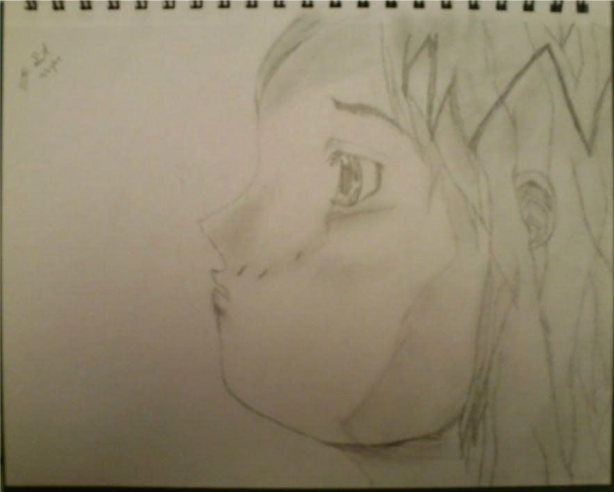 IMAG0003-1.jpg?t=1309176296