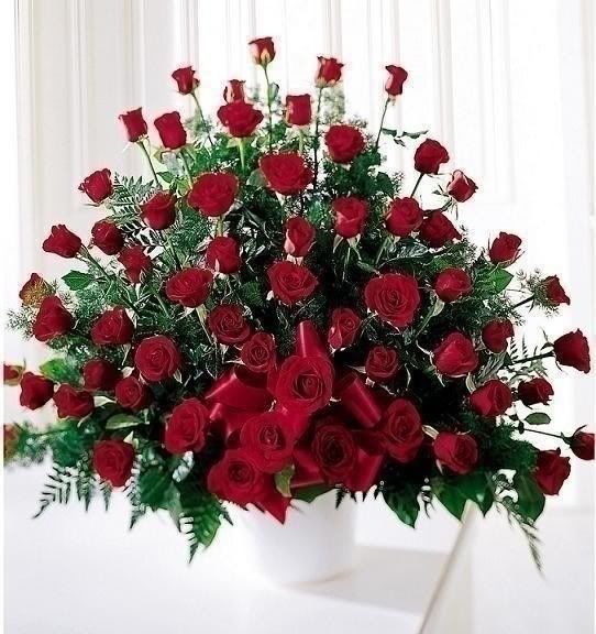 bouquet of red roses Pictures, Images and Photos