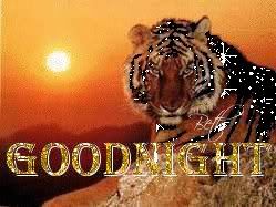 goodnighttiger.jpg