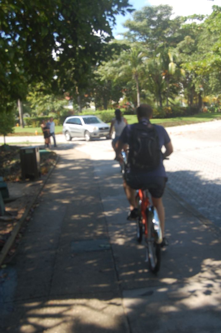 Bike trails in Playa del Carmen Living in Playa del Carmen