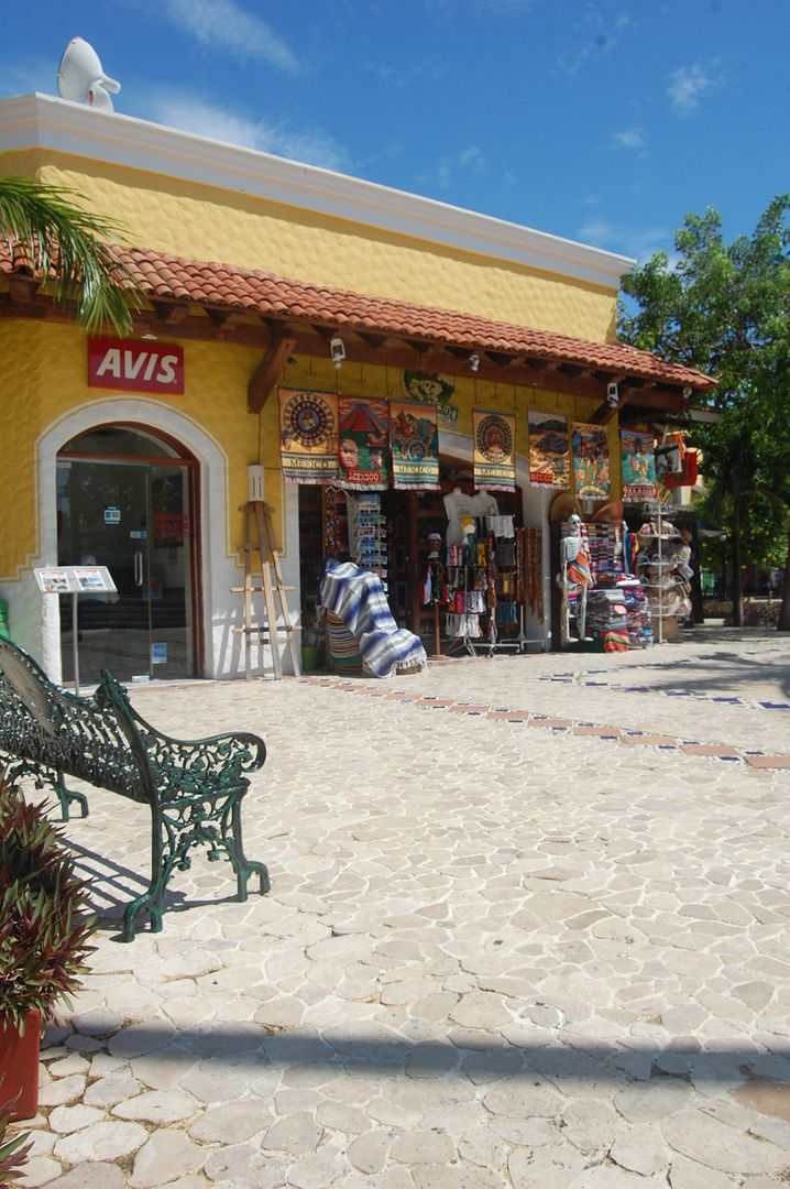 Bike trails in Playa del Carmen Living in Playa del Carmen