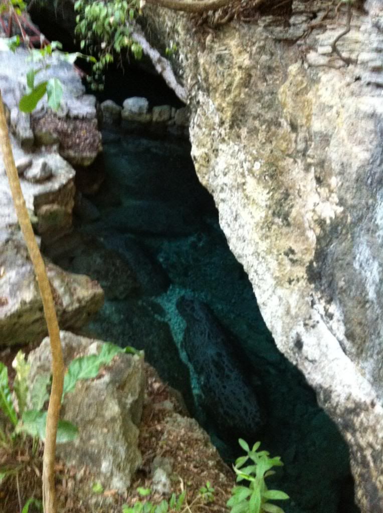 Cenote at Xcaret Park