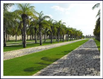 Yucatan real estate market