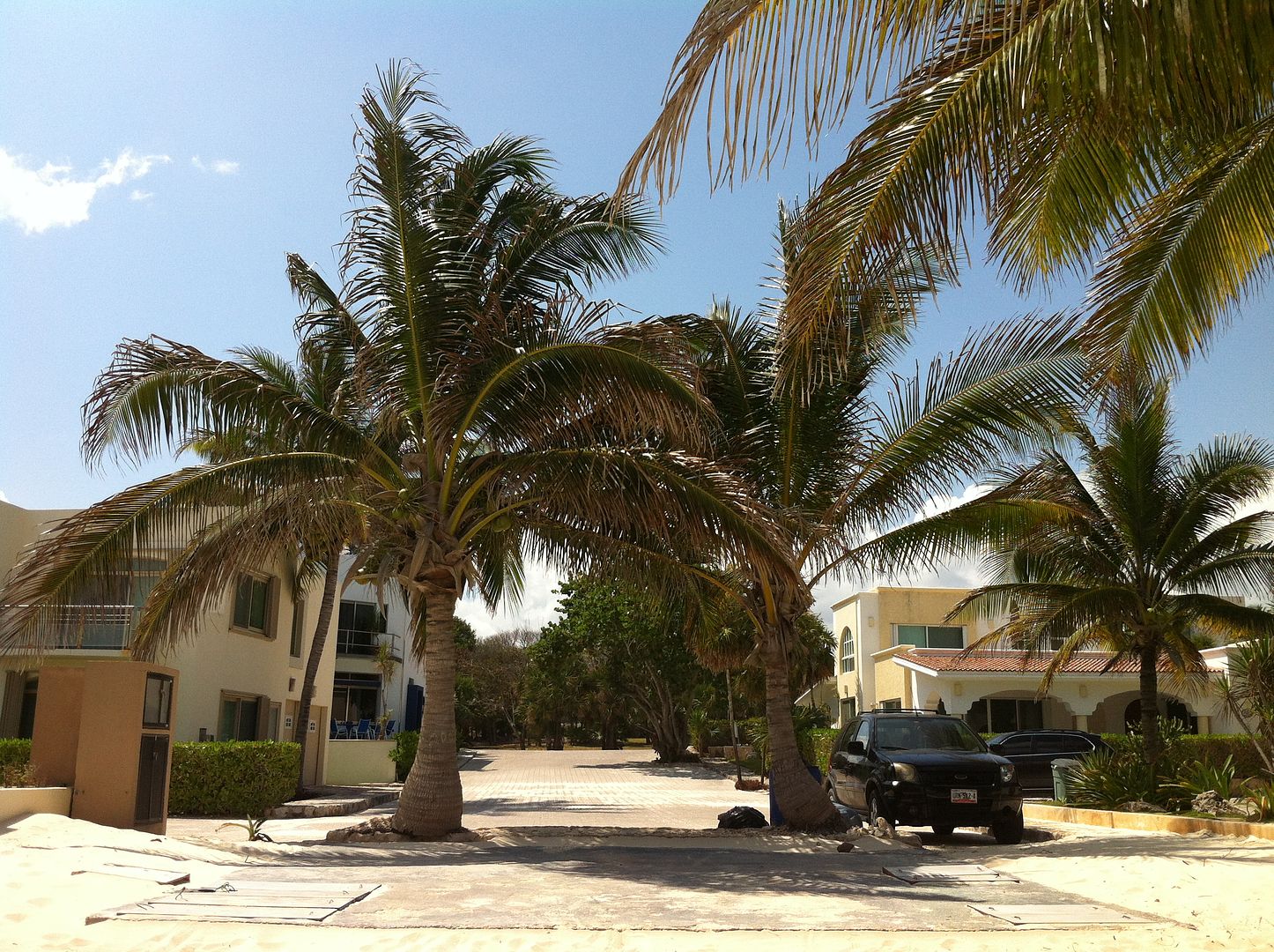 Homes in Playa del Carmen Real Estate