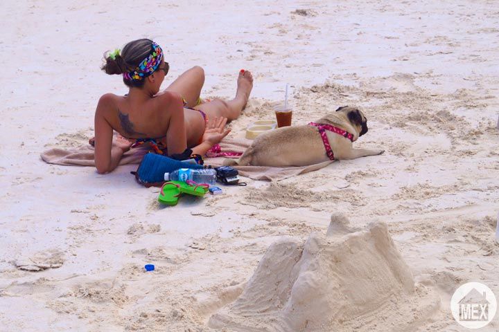 Don't leave your dog behind; Tulum is dog friendly