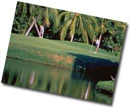 Golf in the Riviera Maya