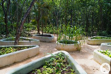 Enjoy beautiful gardens in landscaping outside of your home in Tulum