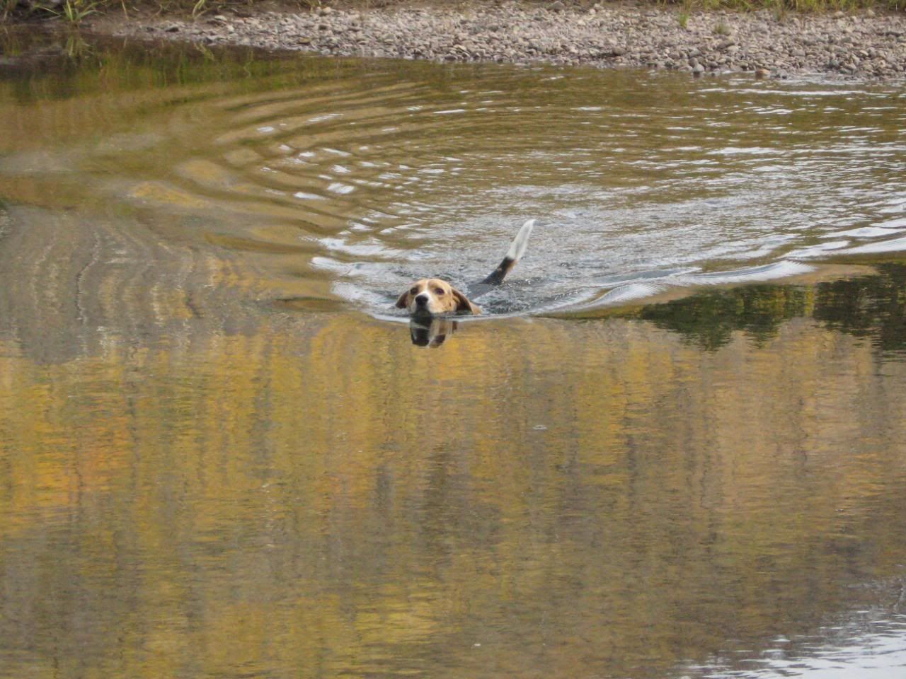 Fall-Fishing9-28-08018.jpg