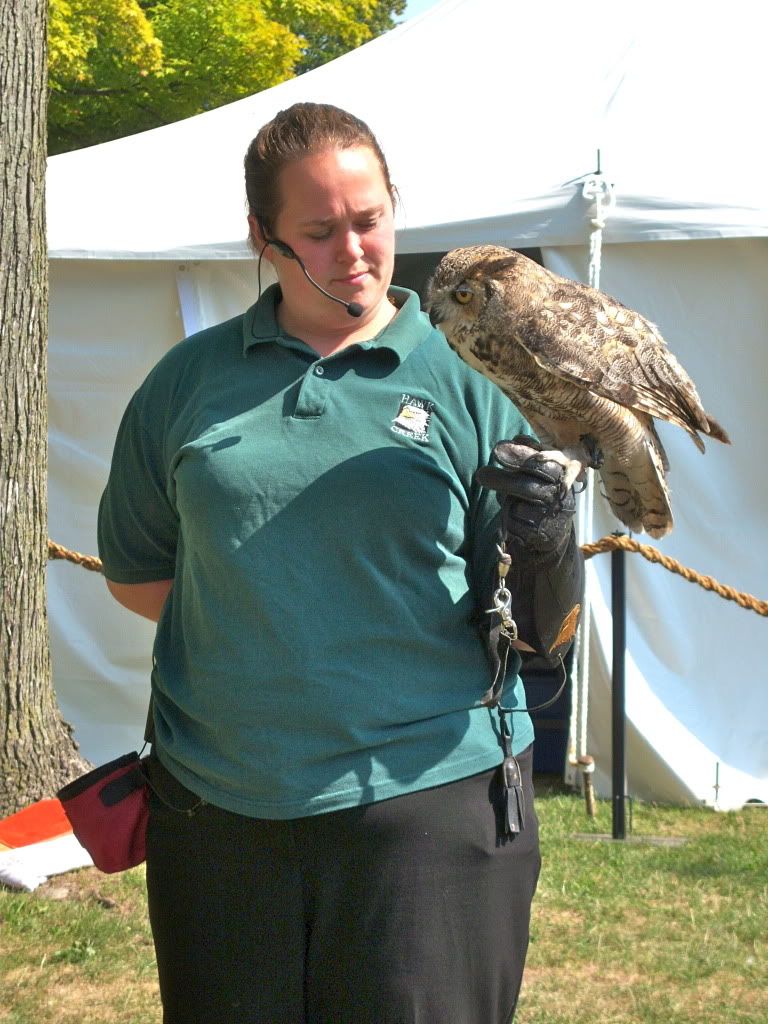 New York State Fair 2012 - Hawk Creek - European Eagle Owl