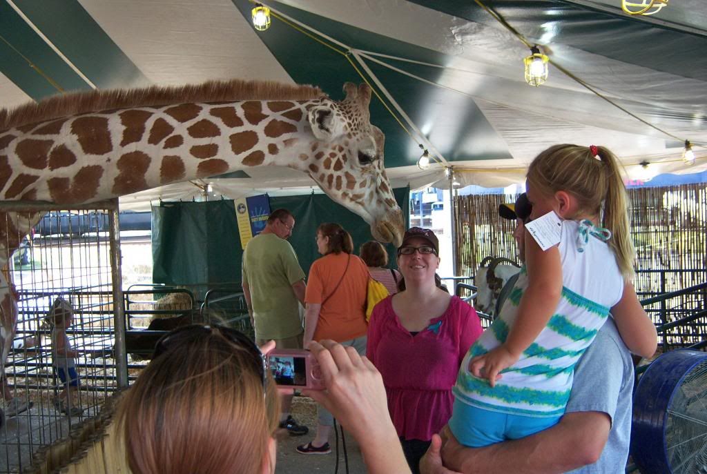 New York State Fair 2012 - giraffe