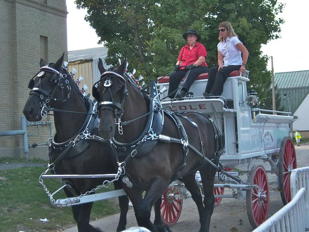 New York State Fair 2012 - horse drawn carriage II