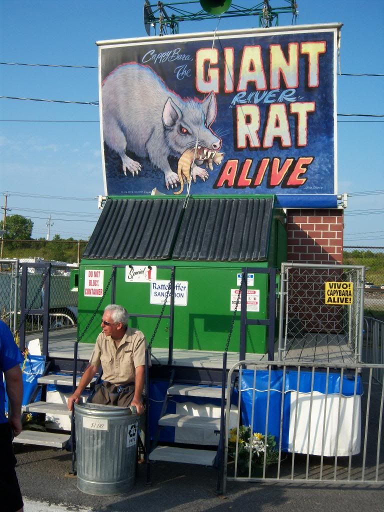 New York State Fair 2012 - Giant Rat