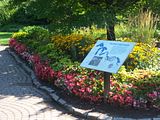 Niagara gardens