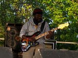 The Wailers bass