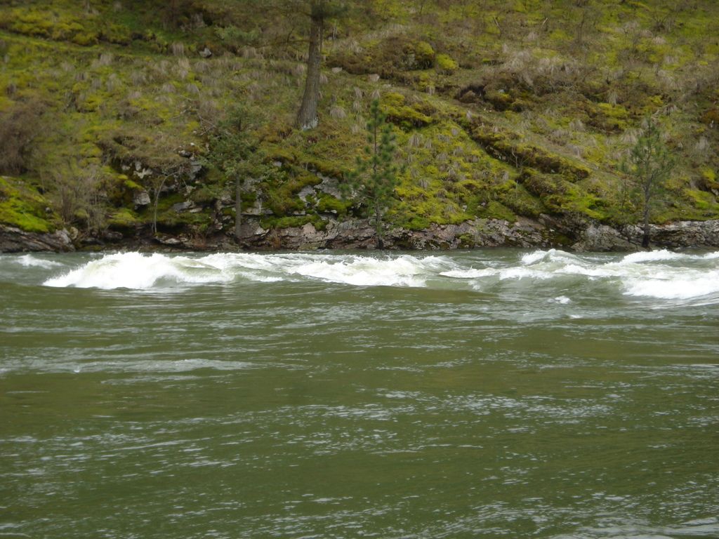 rapids