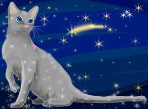Bluestar Pictures, Images and Photos