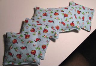 Ladybug Bean Bags!